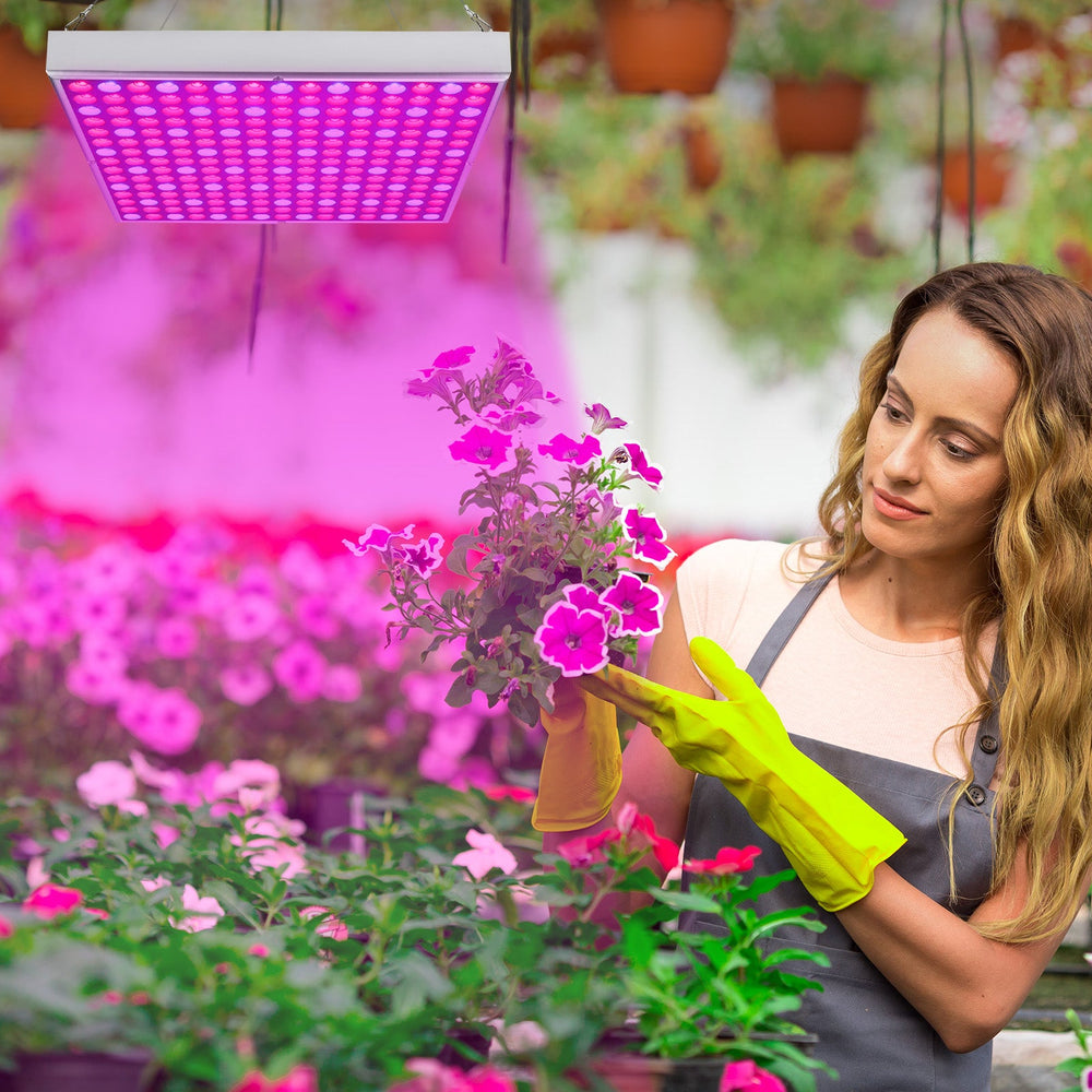 LED Pflanzenlampe