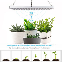 LED Pflanzenlampe