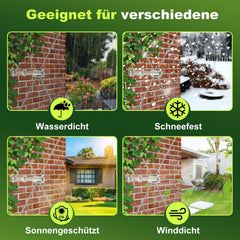 Ikodm Rankhilfe set für Kletterpflanzen Edelstahl 12m