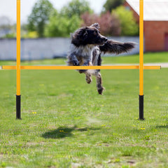 Ikodm Slalomstangen Fussball Set, Slalom Stangen mit Feder, Slalom Poles 6, Sprunghafte Agilität Stangen, Fussball trainingszubehör für Koordinationstraining, Hundesport