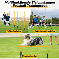 Ikodm Slalomstangen Fussball Set, Slalom Stangen mit Feder, Slalom Poles 6, Sprunghafte Agilität Stangen, Fussball trainingszubehör für Koordinationstraining, Hundesport