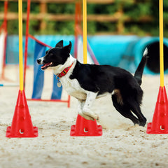 Ikodm Steckhürdenset 12 Kegel mit 6 Stangen, Agility Hürden Steckhürden Set, Koordinationstraining für Kinder Hunde Teamsport Fussball, Multifunktionskegel, für Fußball, Hundesport