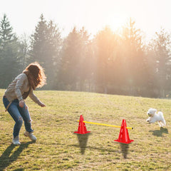 Ikodm Steckhürdenset 12 Kegel mit 6 Stangen, Agility Hürden Steckhürden Set, Koordinationstraining für Kinder Hunde Teamsport Fussball, Multifunktionskegel, für Fußball, Hundesport