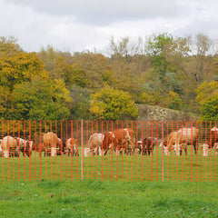 Ikodm Warnnetz Sicherheitsnetz Absperrnetz Kunststoff 30m/50m/80m