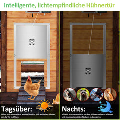Ikodm Automatische Hühnerklappe mit Lichtsensor, Zeitschaltuhr, LED Display