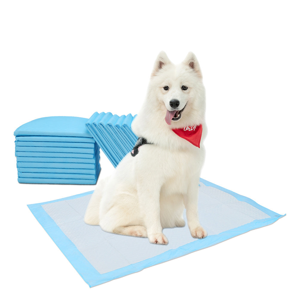 Welpenunterlagen 60x45 & 60x60 cm – Saugfähige Puppy Pads