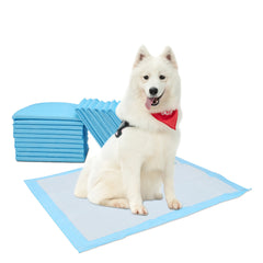 Welpenunterlagen 60x45 & 60x60 cm – Saugfähige Puppy Pads