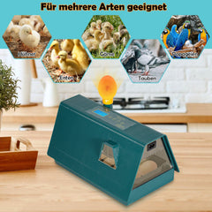 Ikodm Brutmaschine Inkubator automatik für 10 Hühnereier