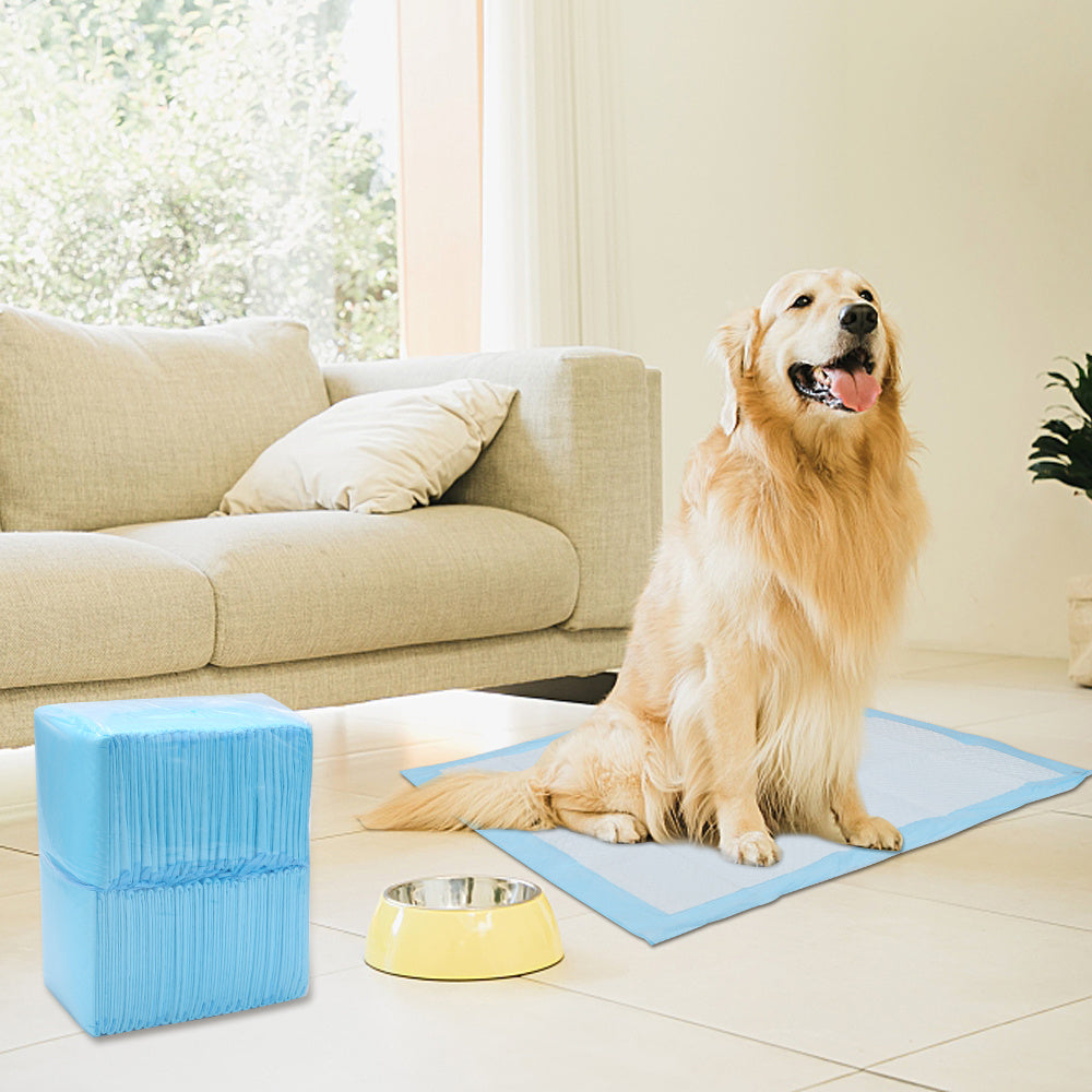 Welpenunterlagen 60x45 & 60x60 cm – Saugfähige Puppy Pads