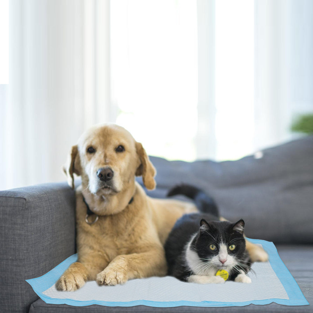 Welpenunterlagen 60x45 & 60x60 cm – Saugfähige Puppy Pads